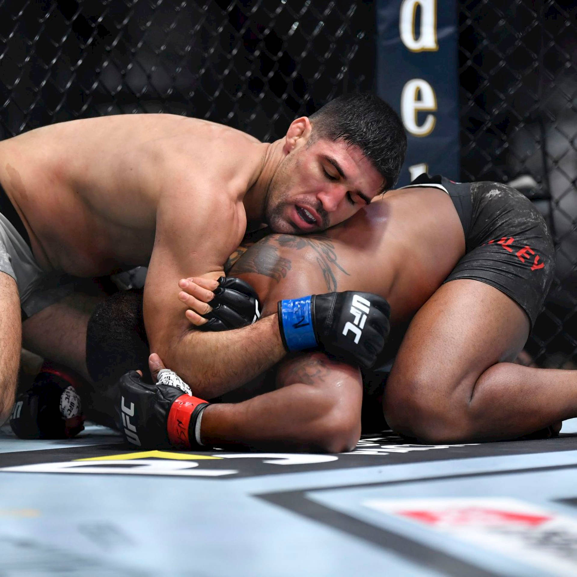 Vicente Luque Pinning His Opponent Down Background