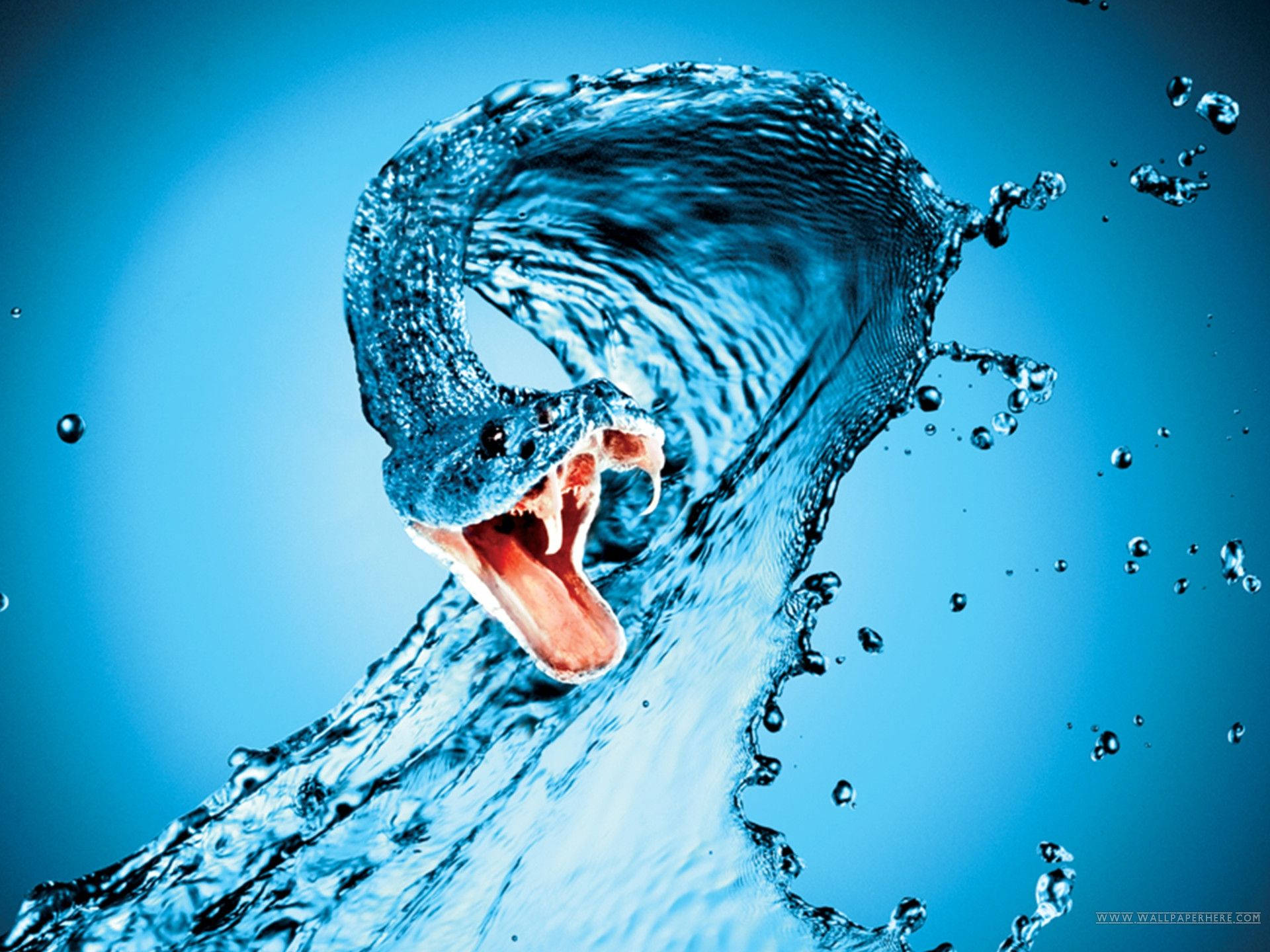 Vicious Blue Water Snake Background