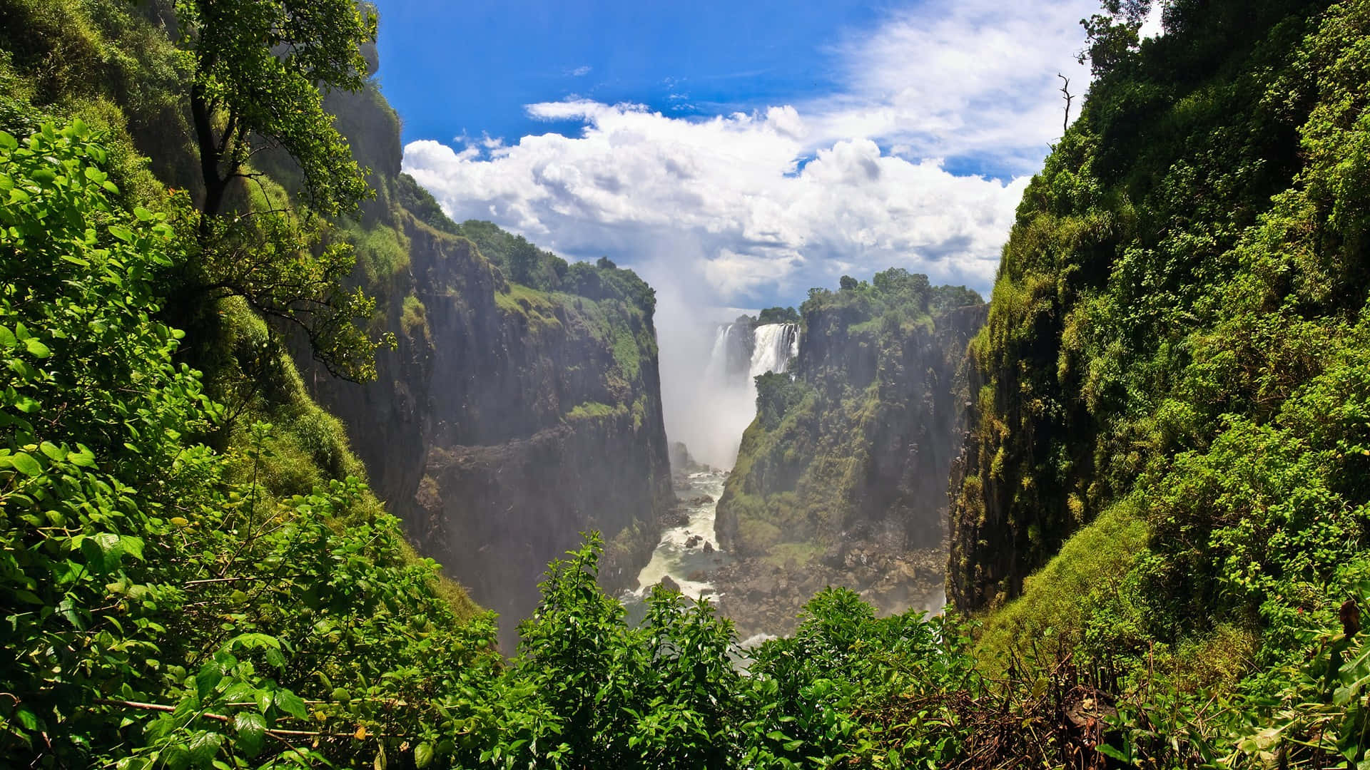 Victoria Falls Valley And Jungle Background