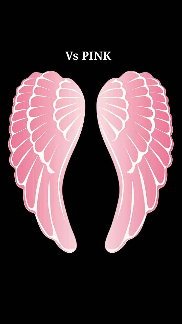 Victoria's Secret Pink Angel Wings