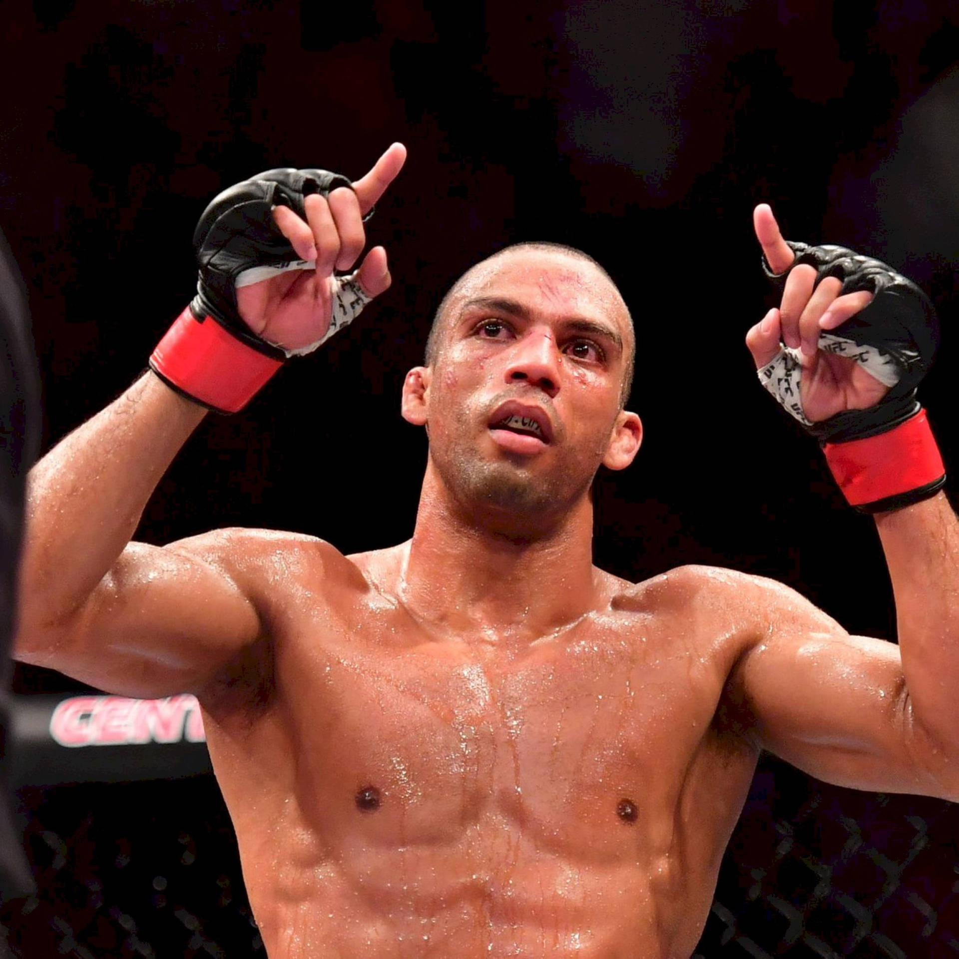 Victorious Edson Barboza Celebrates In The Ring Background