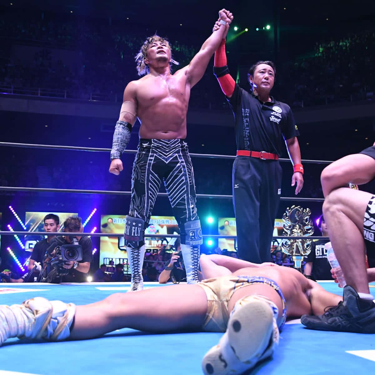 Victorious Wrestler Celebration Arena