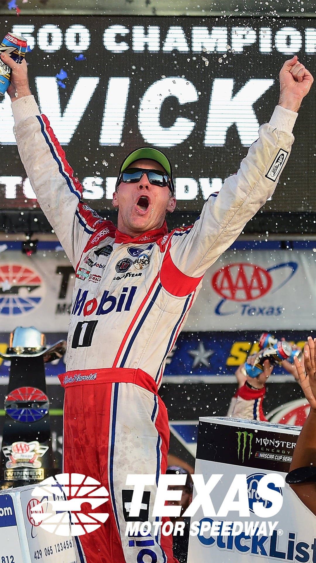 Victory Celebration - Kevin Harvick Raising His Arms In Triumph