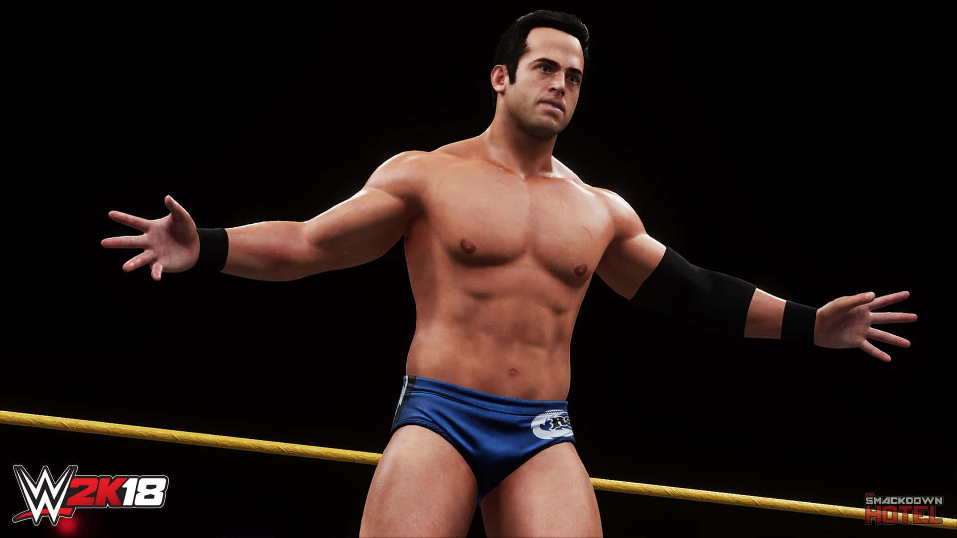 Video Game Model Of Roderick Strong Background