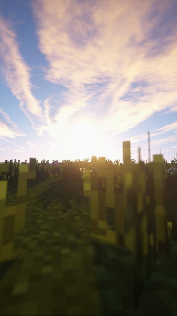 Video Game Sunset Minecraft Iphone Background