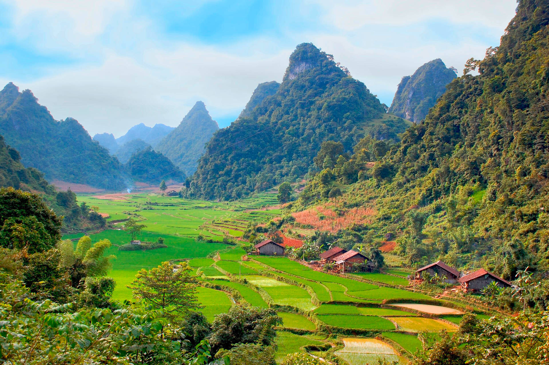 Vietnam Divided Farm Fields Background