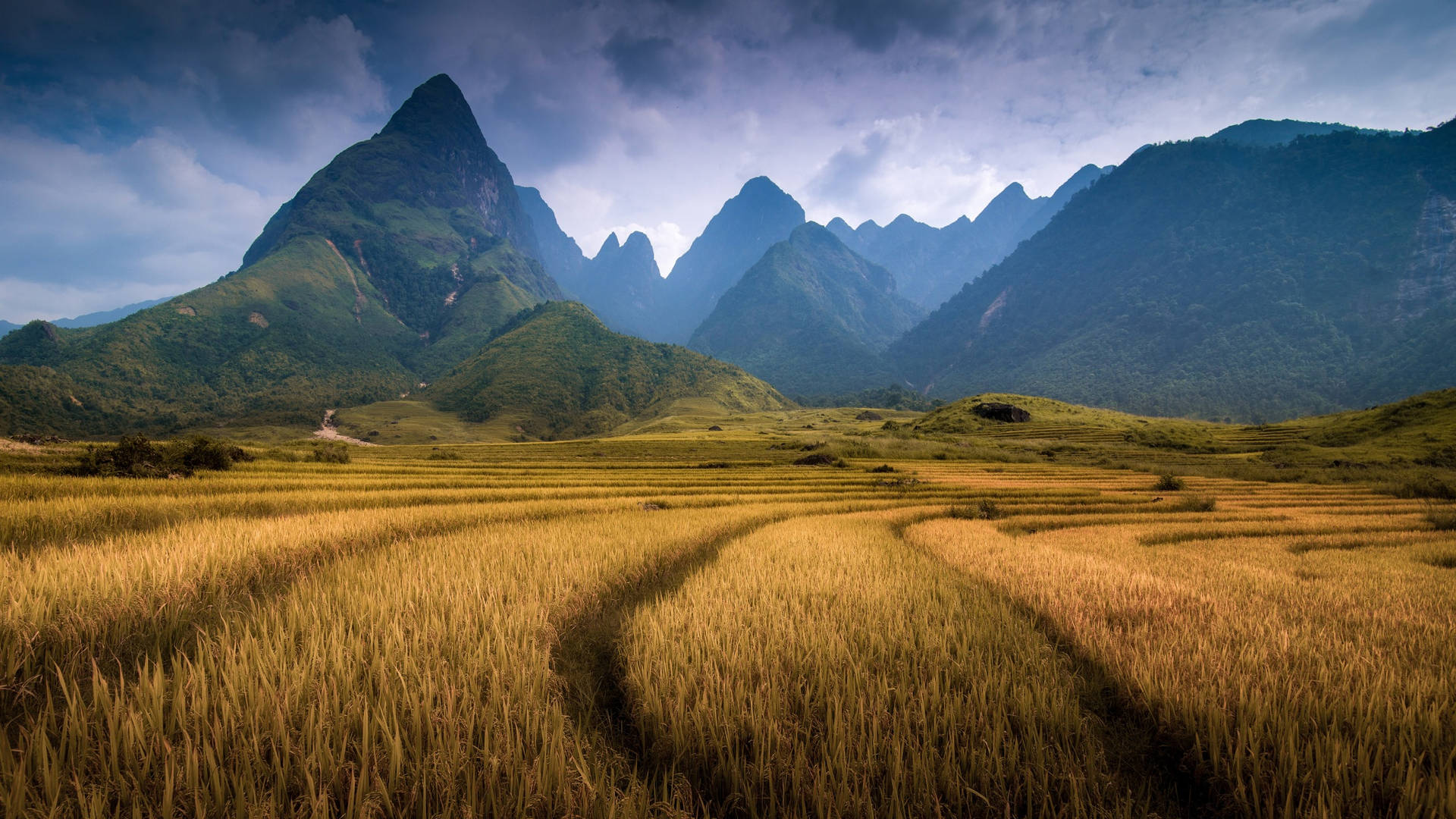Vietnam Fansipan Mountain Background