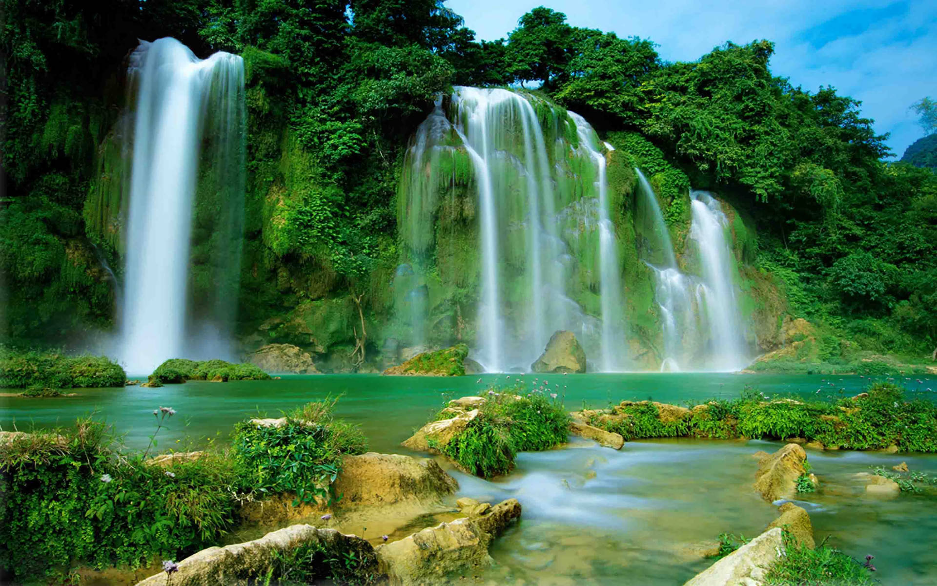 Vietnam Surrounded By Nature Background
