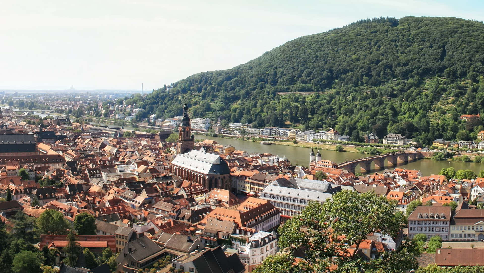 View From Heidelberg Castle