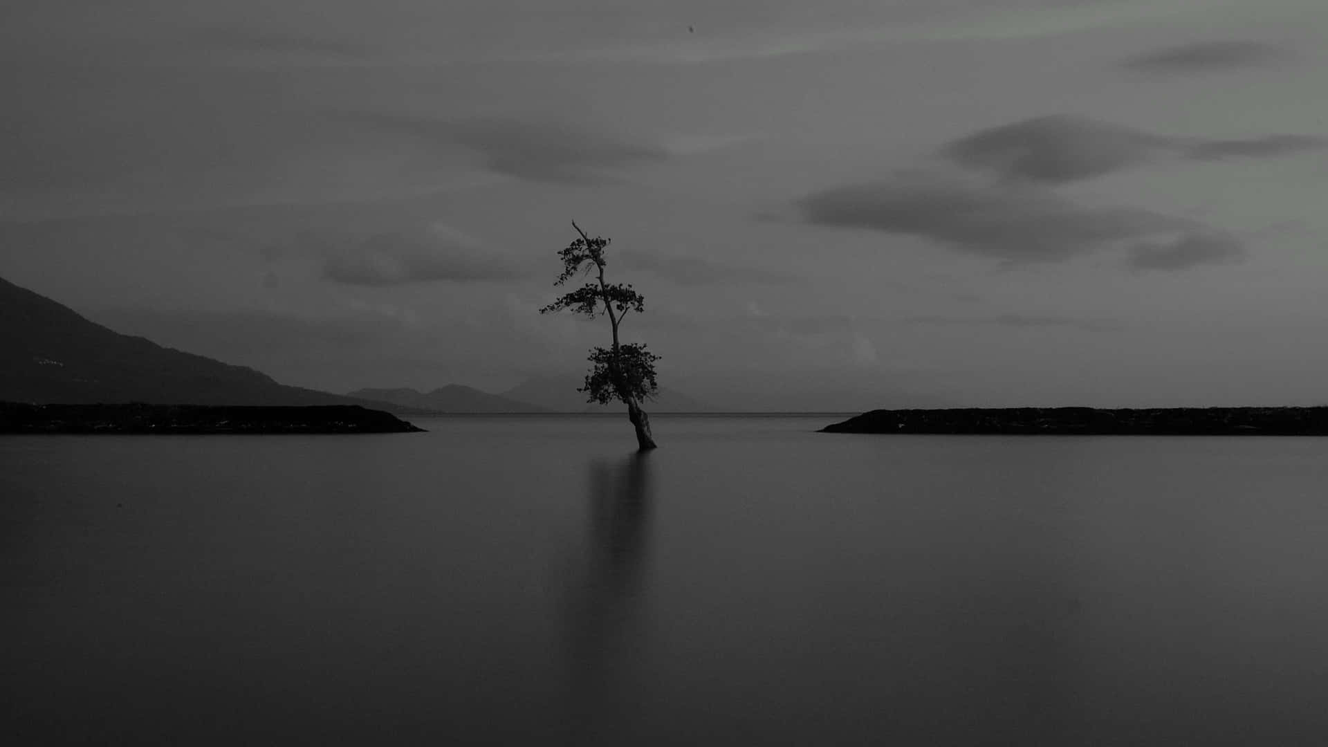 View Of A Grey Sky On A Gloomy Day Background