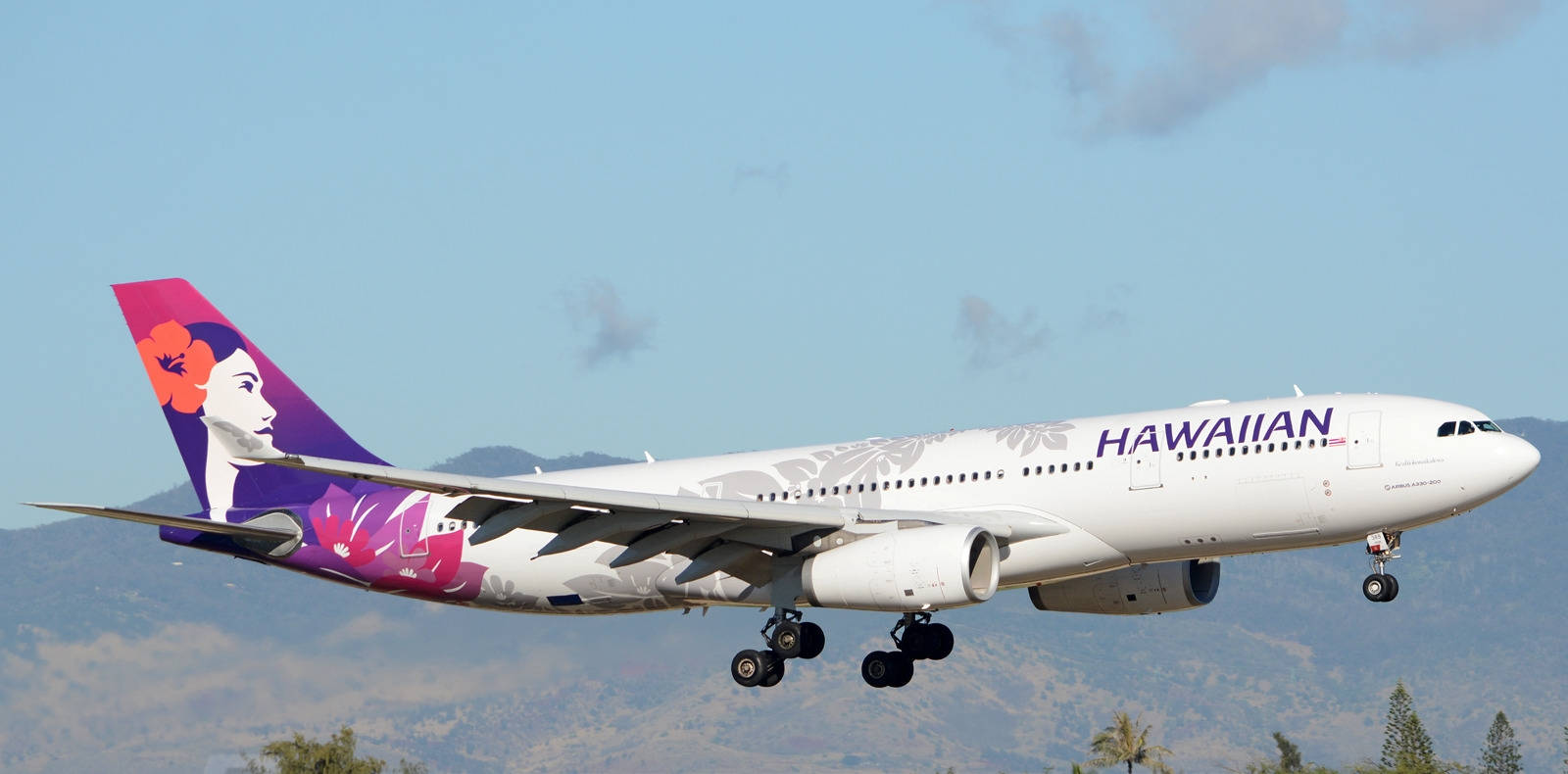 View Of A Hawaiian Airlines Plane Taking Off Background