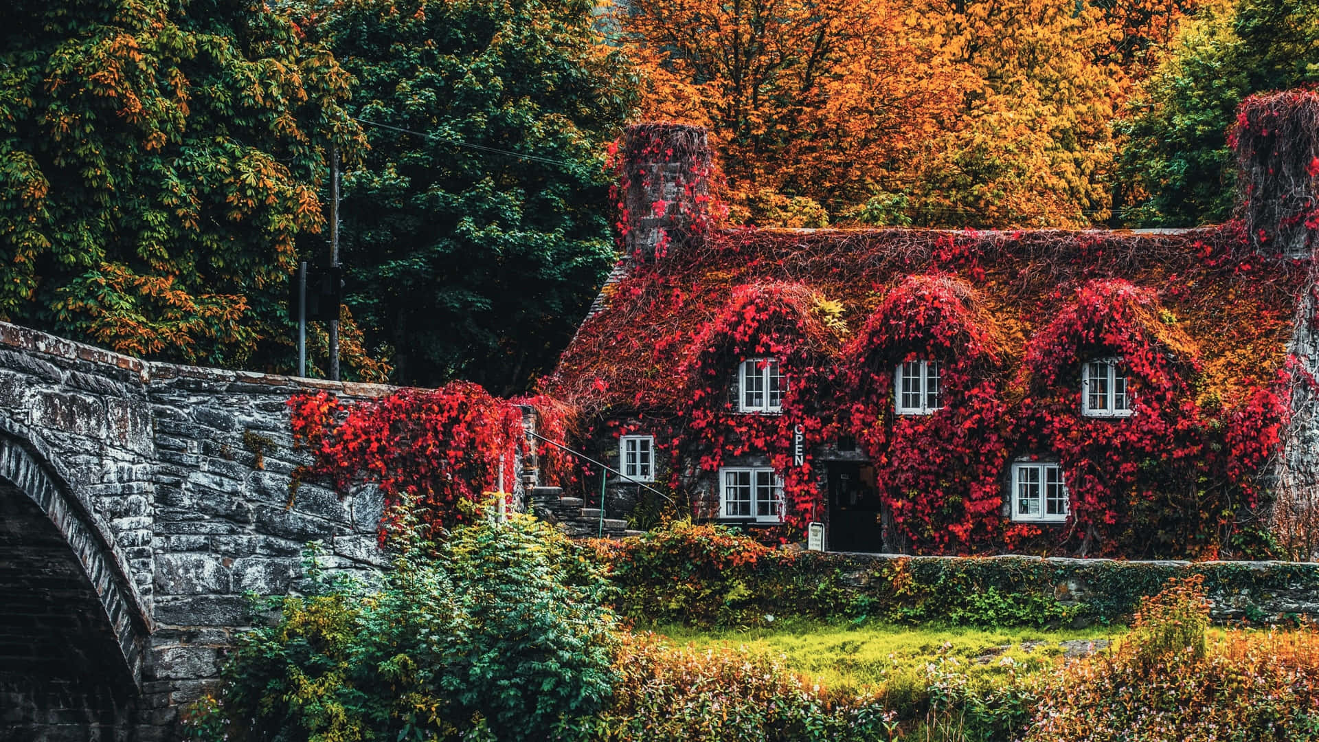 View Of Autumn From A Distance Background