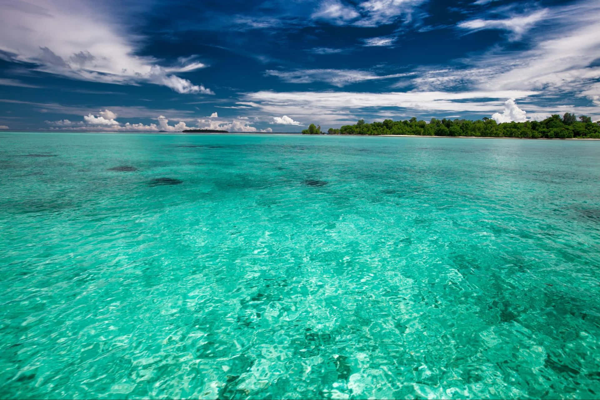 View Of Shallow Sea Background