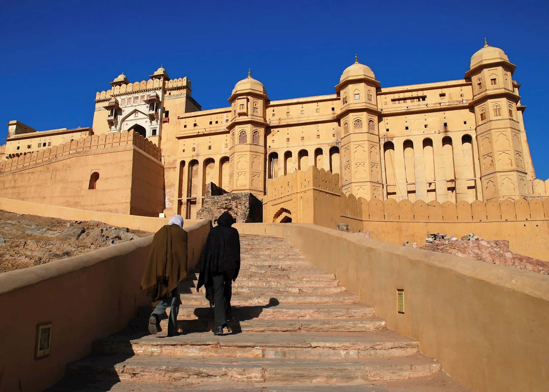 View Of The Amer Fort Background