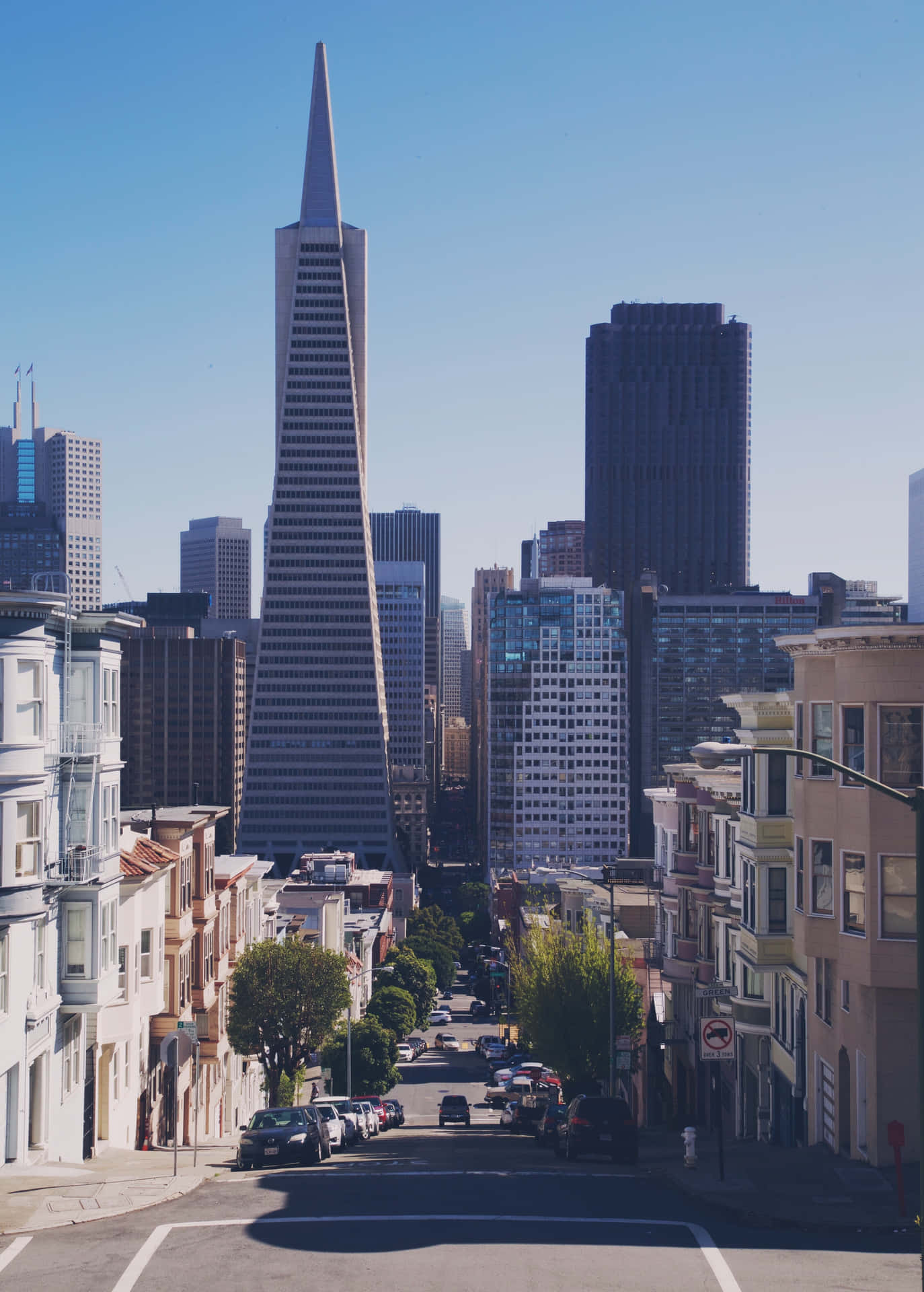 View Of The Transamerica Pyramid Background