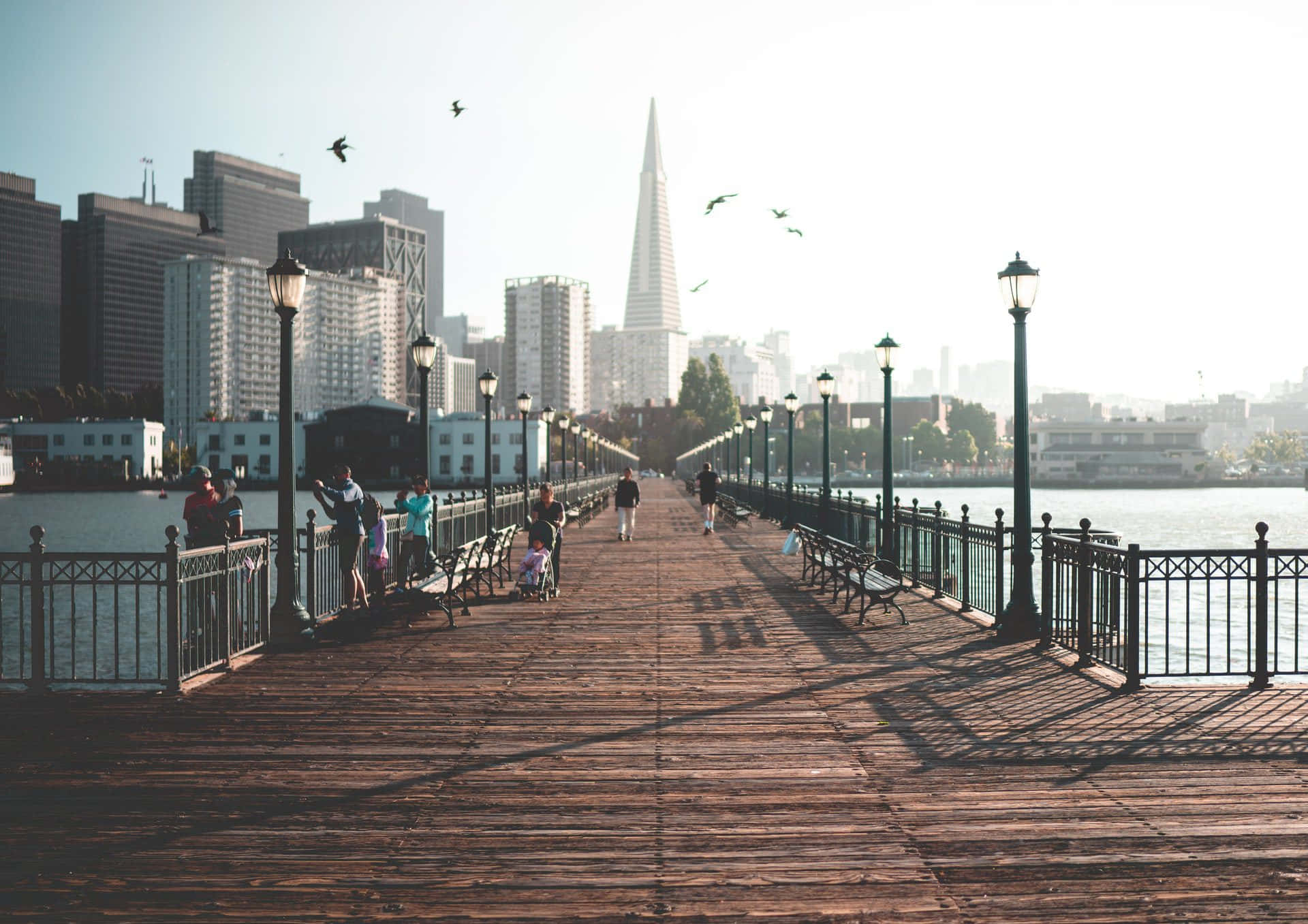 View Of Transamerica Pyramid