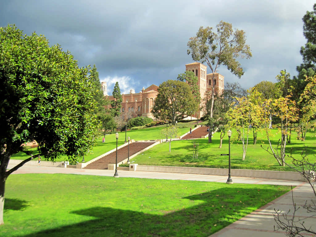 View Of Ucla Campus Background