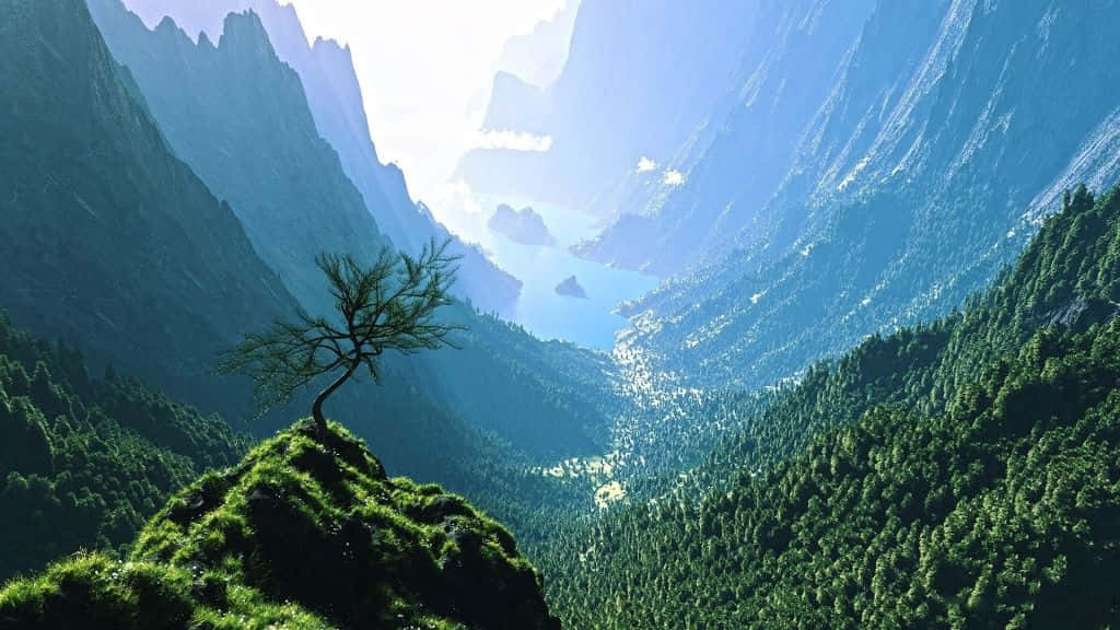 View Of Valley Jungle Desktop Background