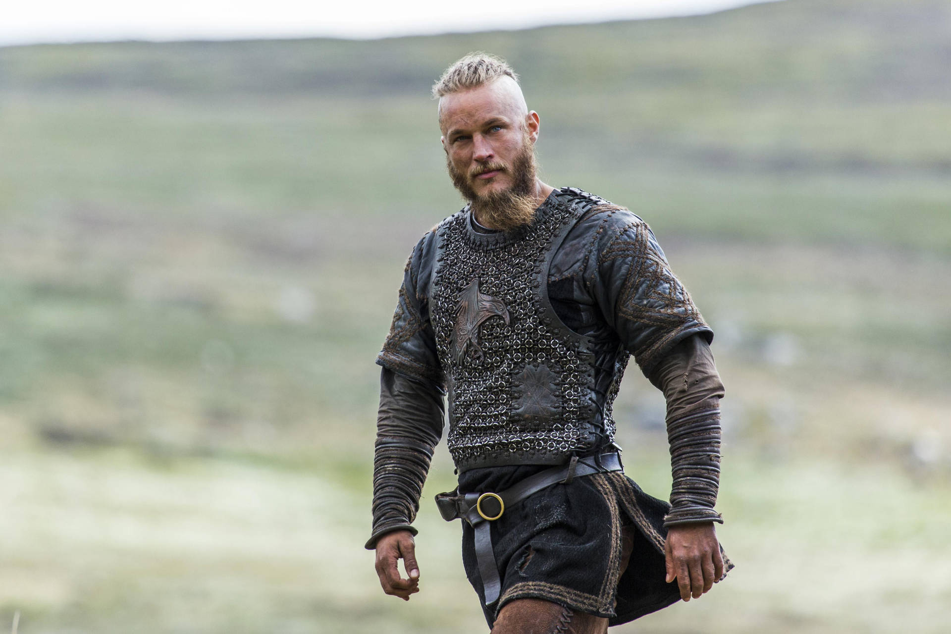 Vikings King Ragnar In Grassy Field Background