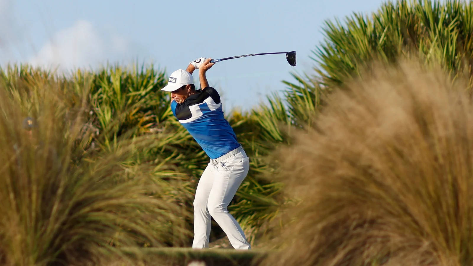 Viktor Hovland In The Grasses Background