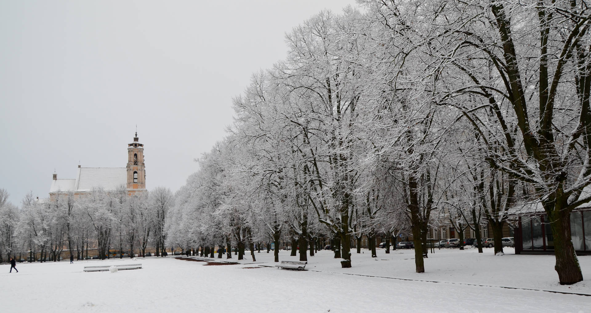 Vilnius At Winter Background