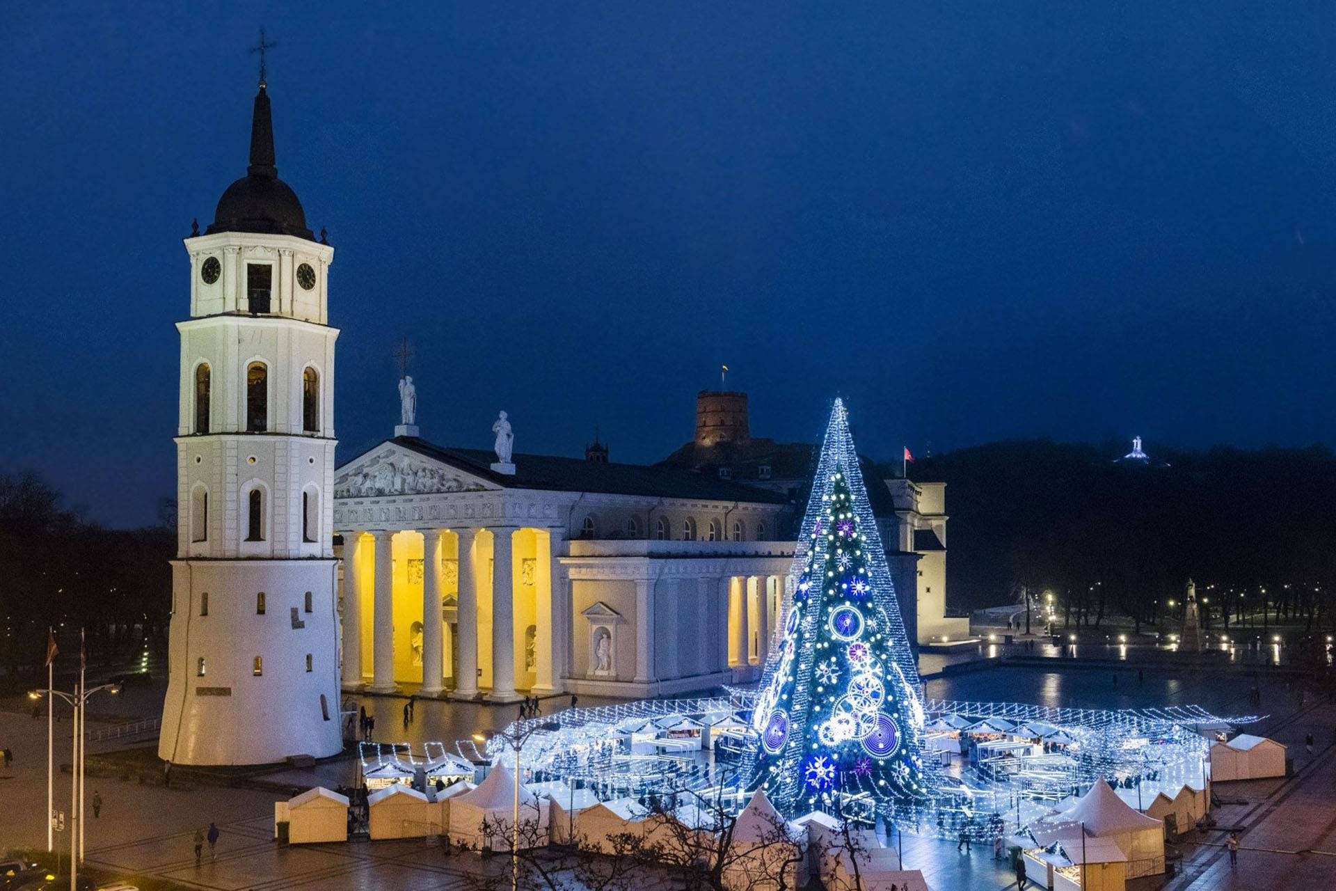 Vilnius Cathedral Christmas Tree