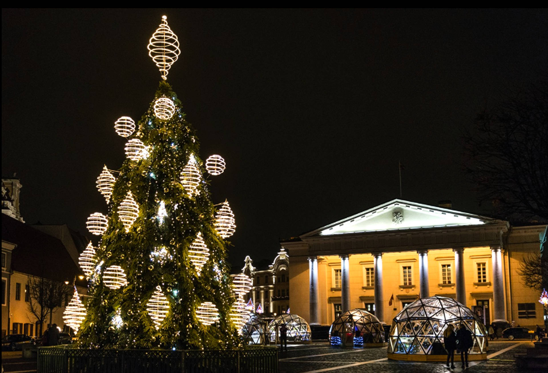 Vilnius Town Hall Christmas Tree Background