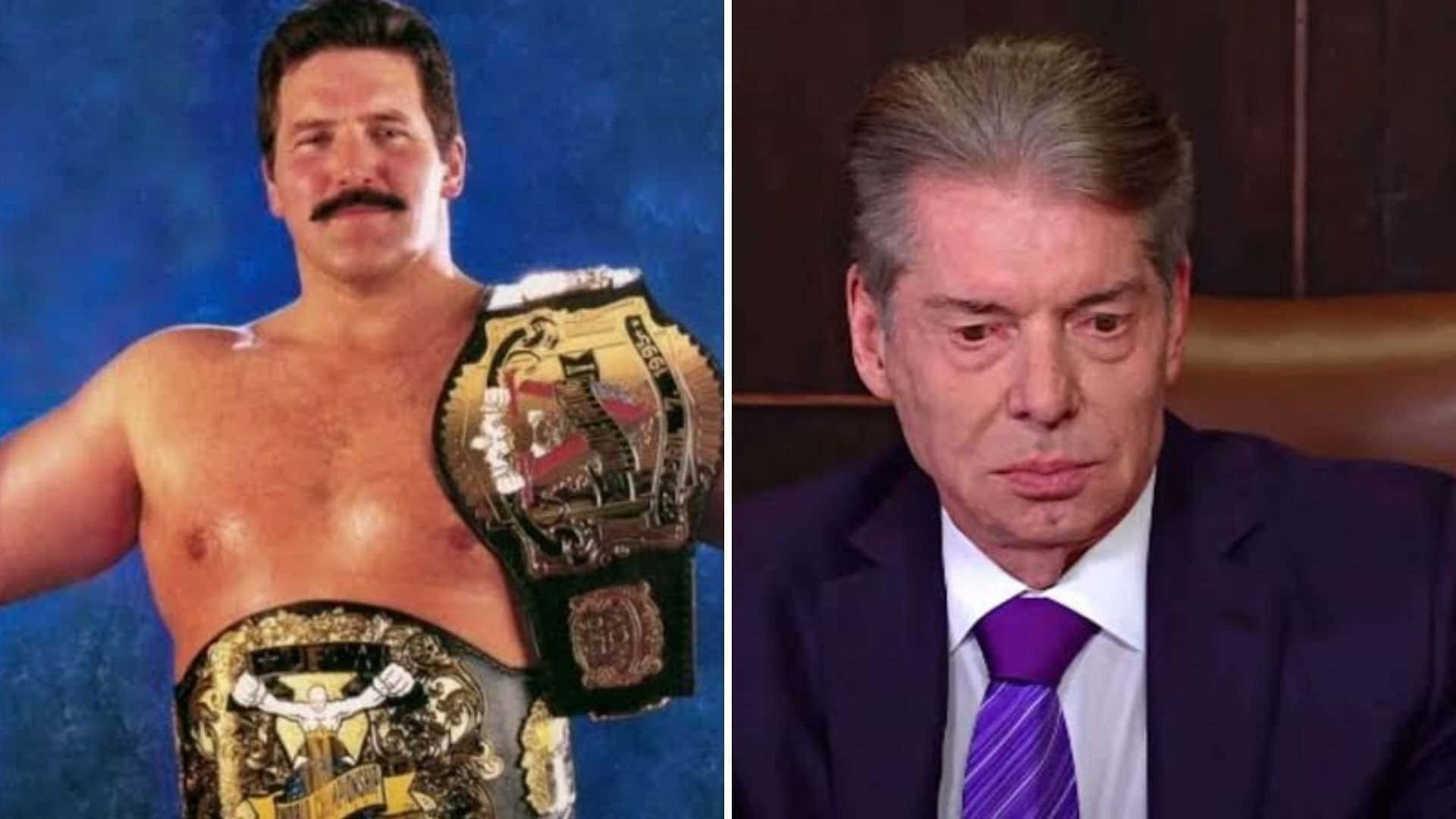 Vince Mcmahon And Dan Severn Background