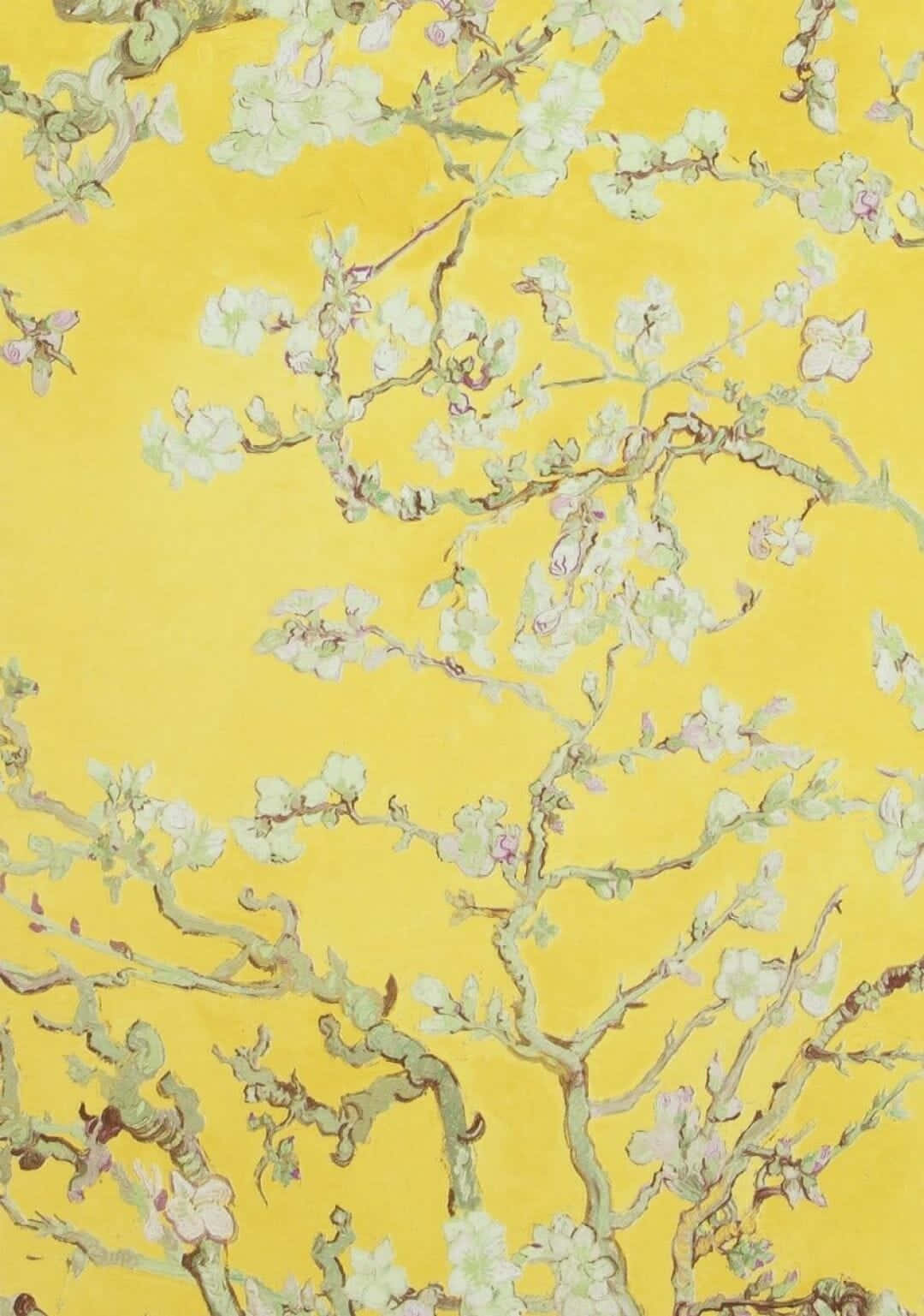 Vincent Van Gogh's Almond Blossoms Background