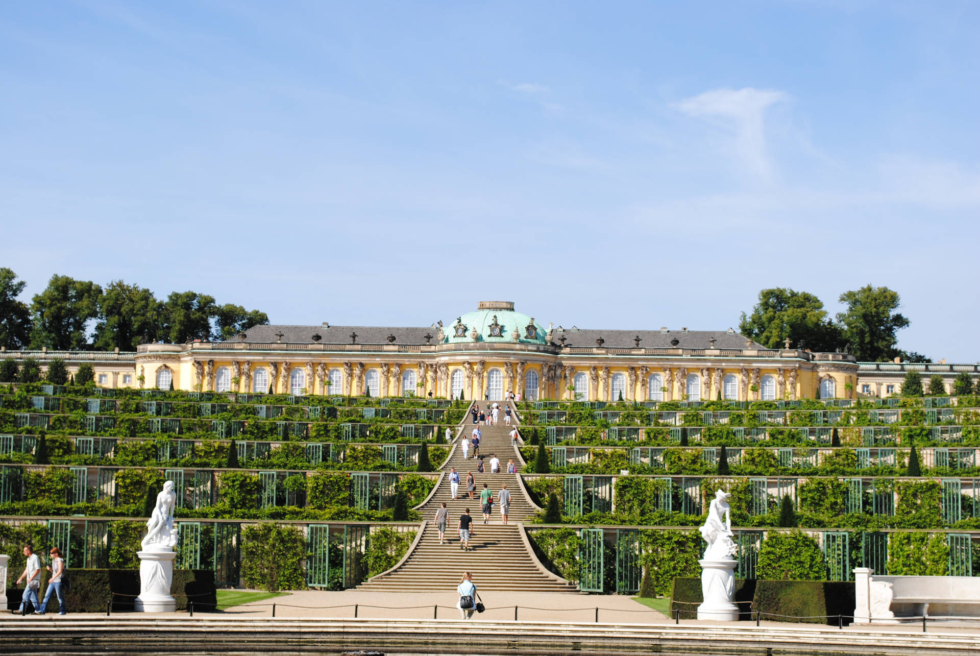 Vineyard In Sanssouci Palace Potsdam Background