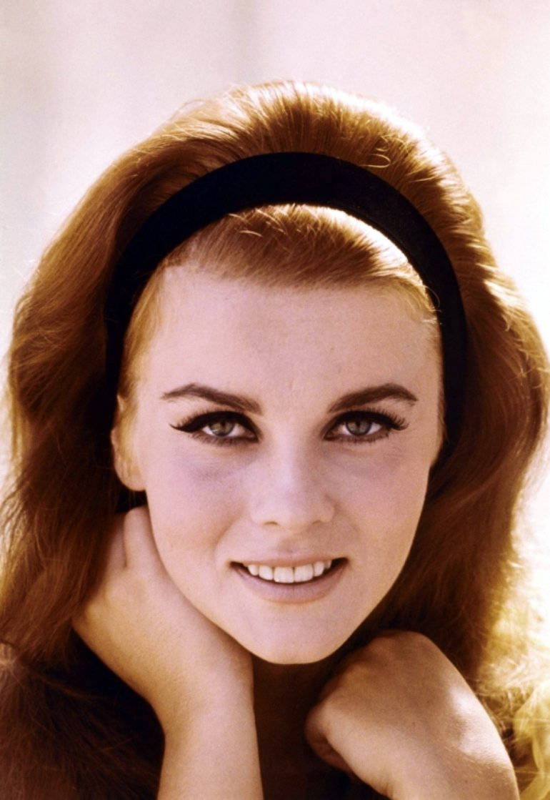 Vintage 1966 Portrait Of Iconic Actress Ann Margret.