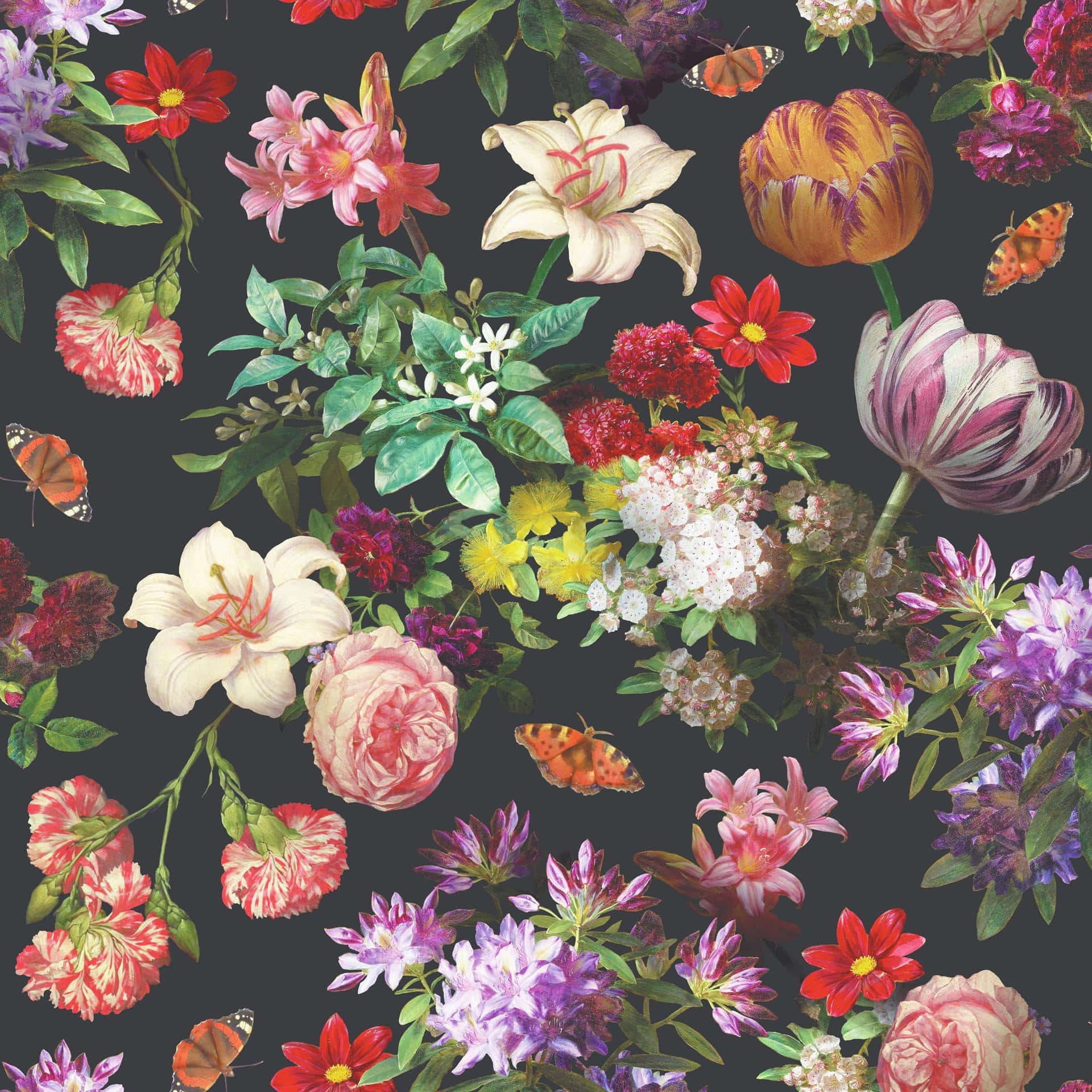Vintage Aesthetic Plant In A Rustic Pot Background