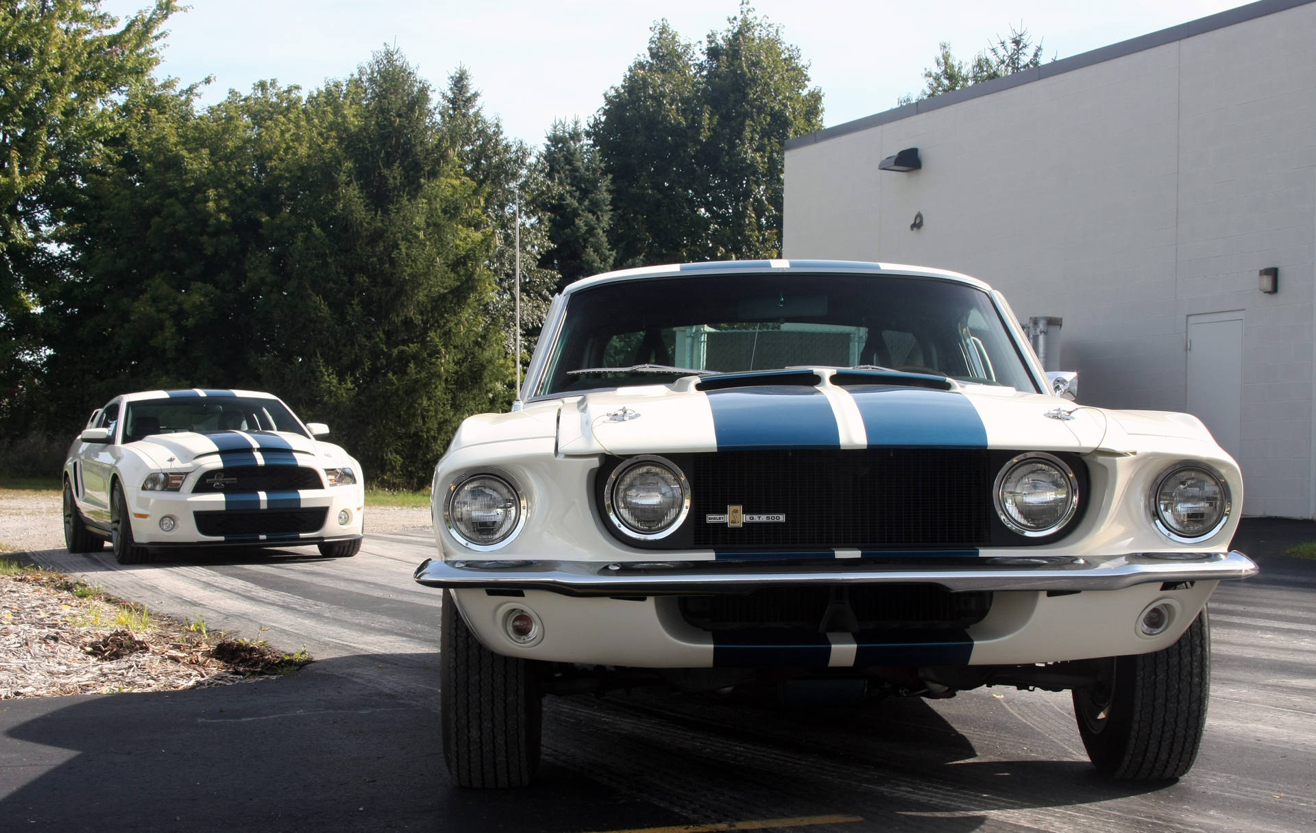 Vintage And Modern Shelby Iphone