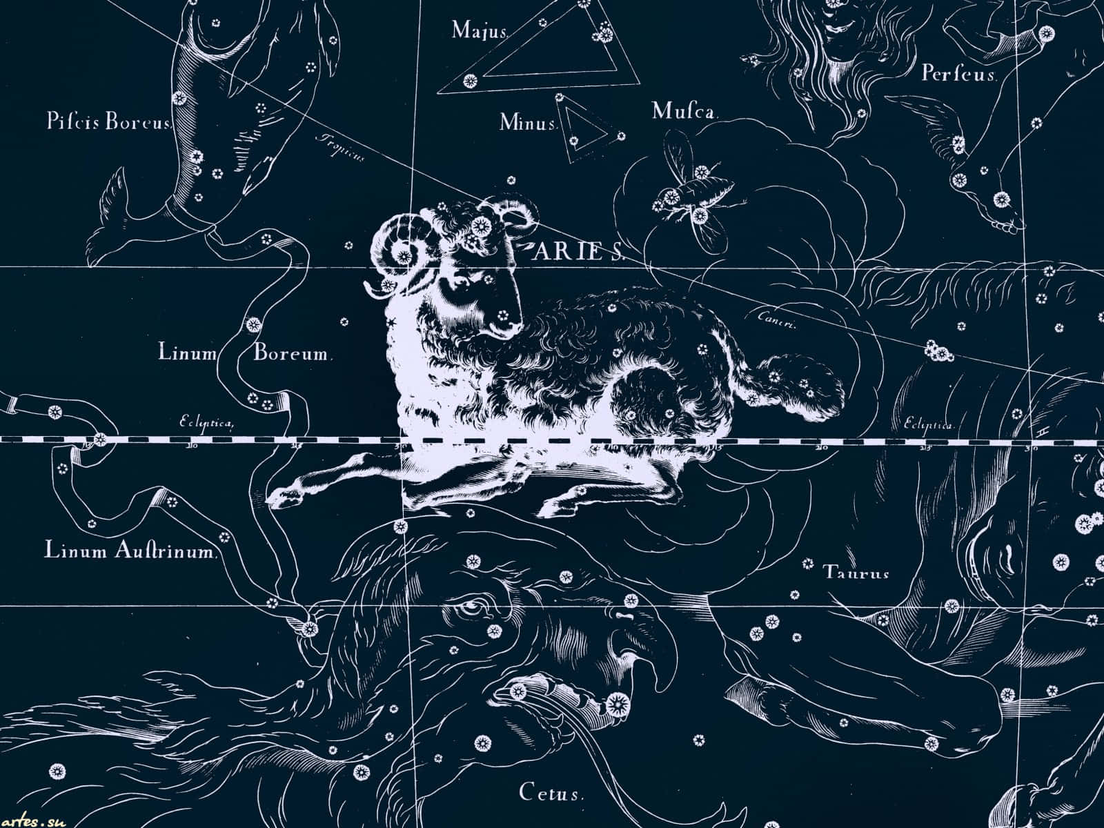 Vintage Aries Constellation Illustration Background