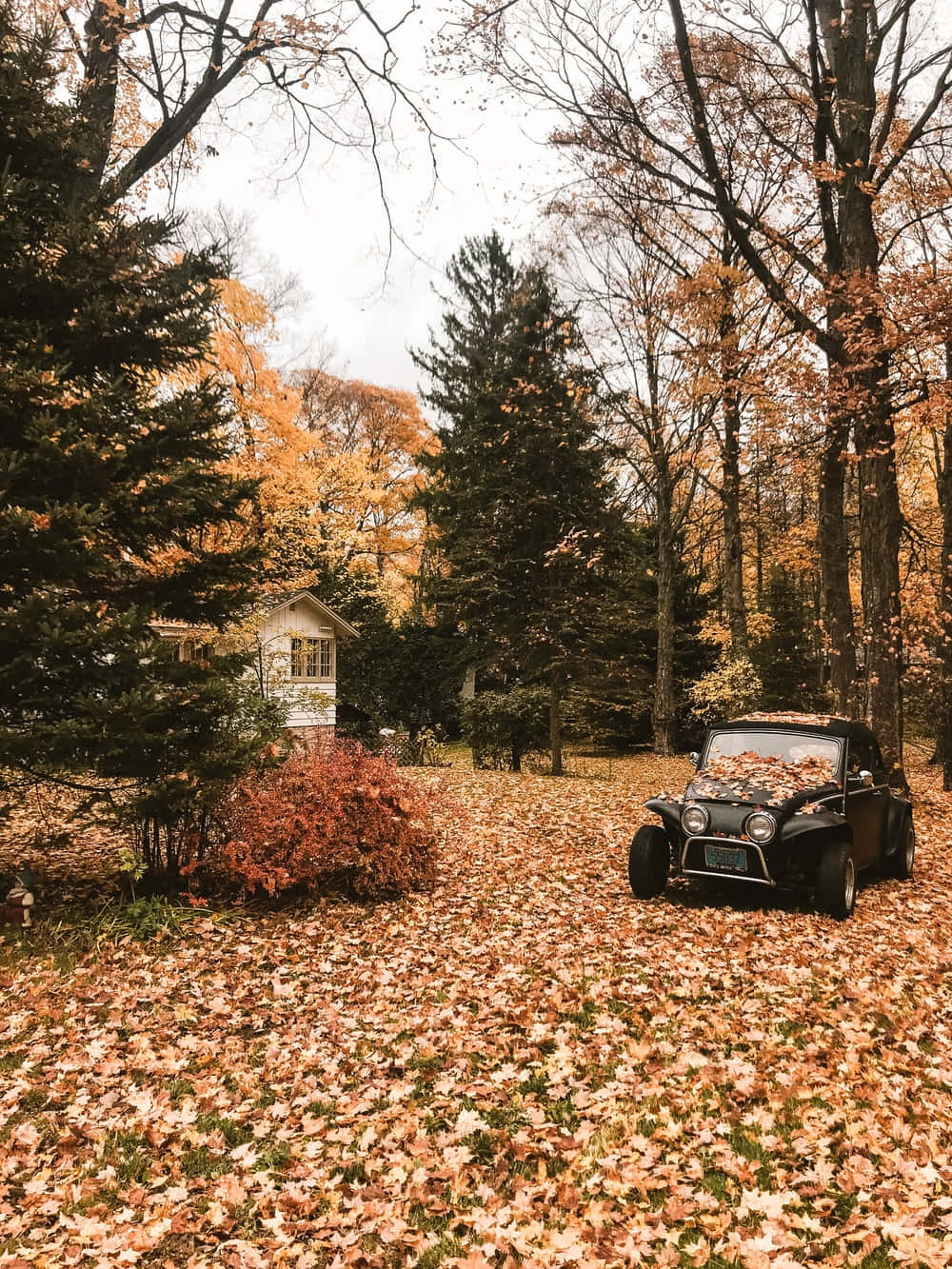 Vintage Autumn Black Car Parked Background