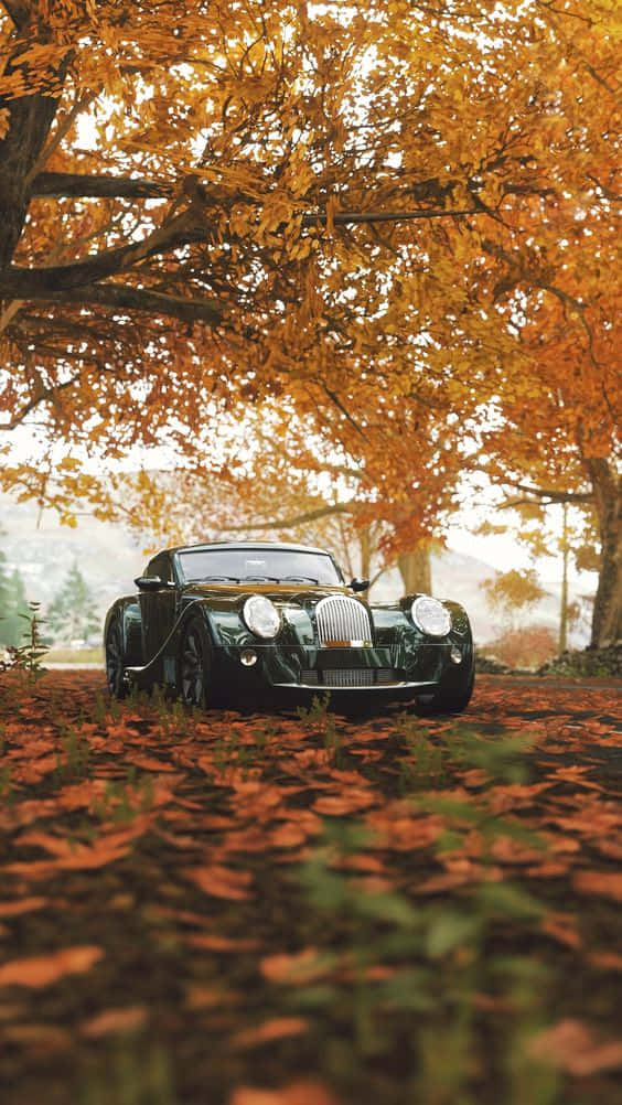 Vintage Autumn Black Morgan Background