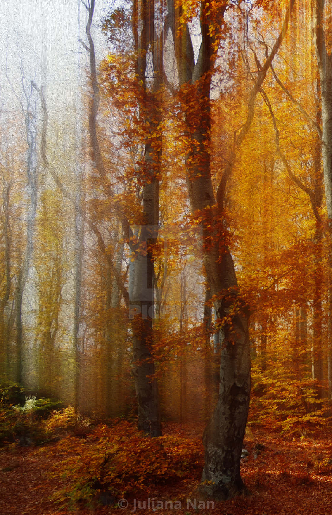 Vintage Autumn Realistic Forest Background