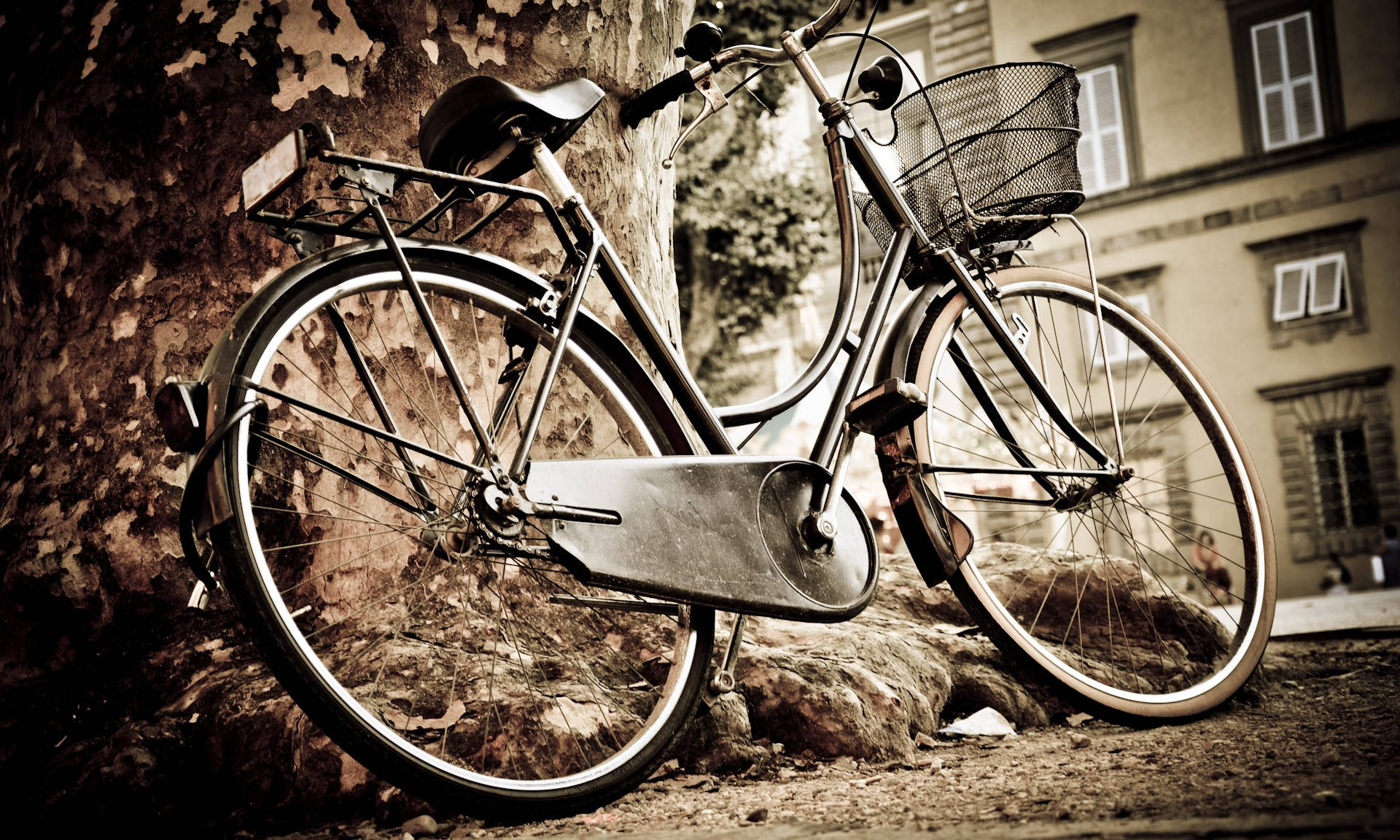 Vintage Bicycle By A Tree