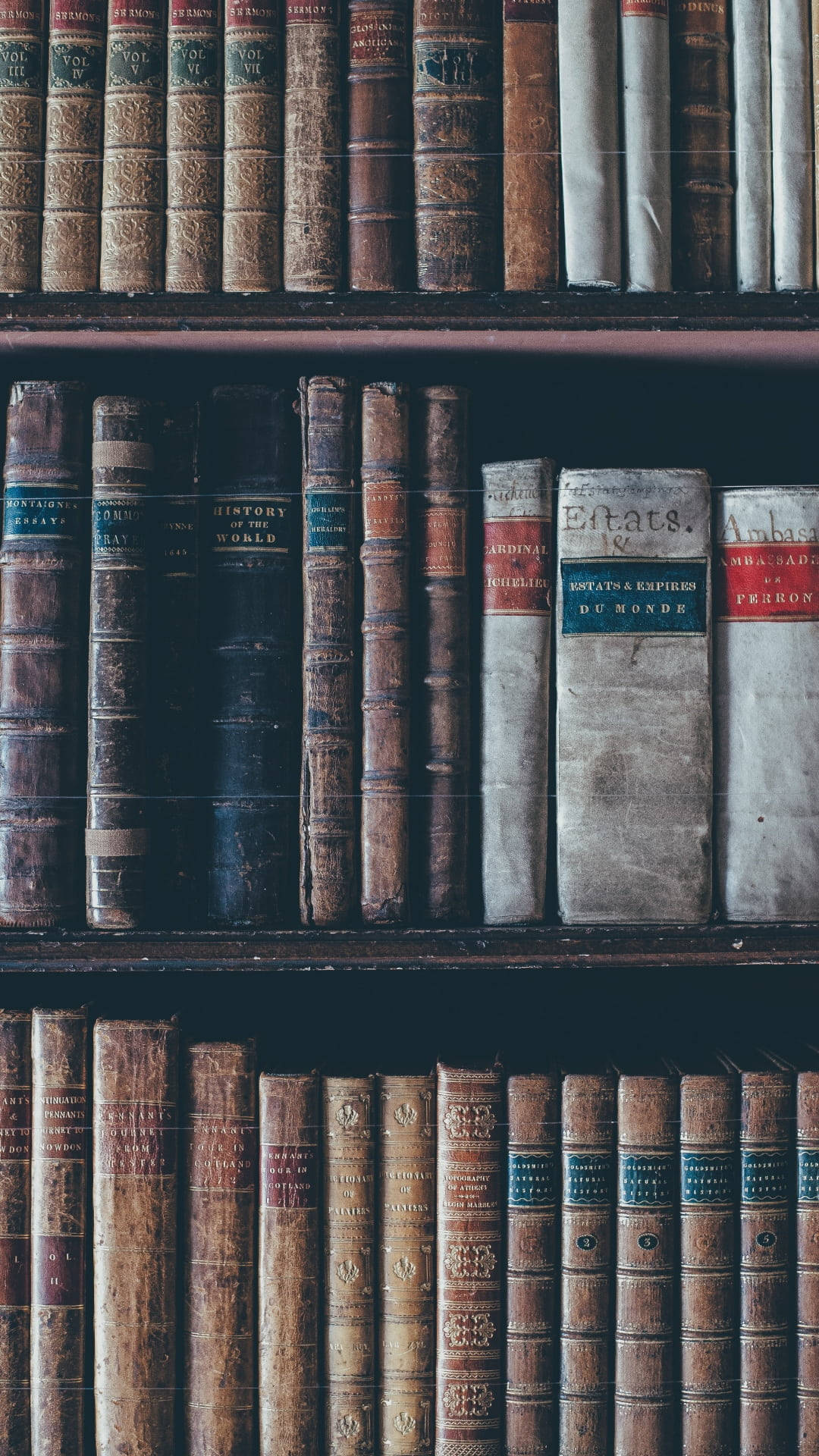 Vintage Books On Shelf Background