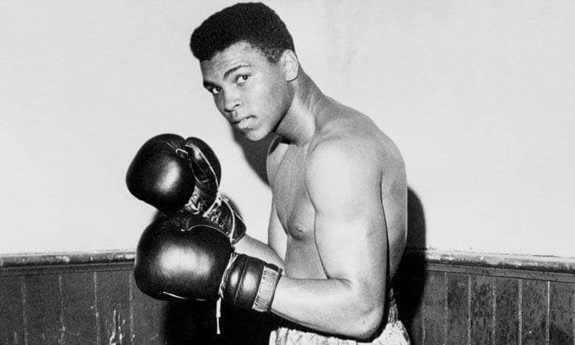 Vintage Boxer Portrait Background