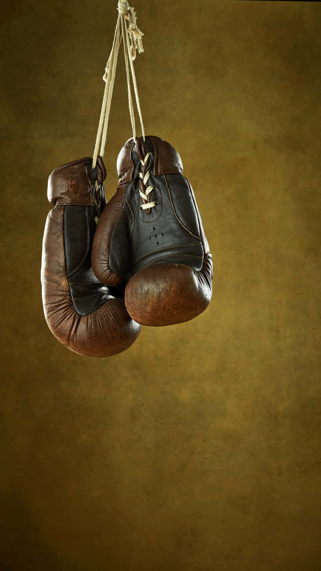 Vintage Boxing Gloves Hanging Background