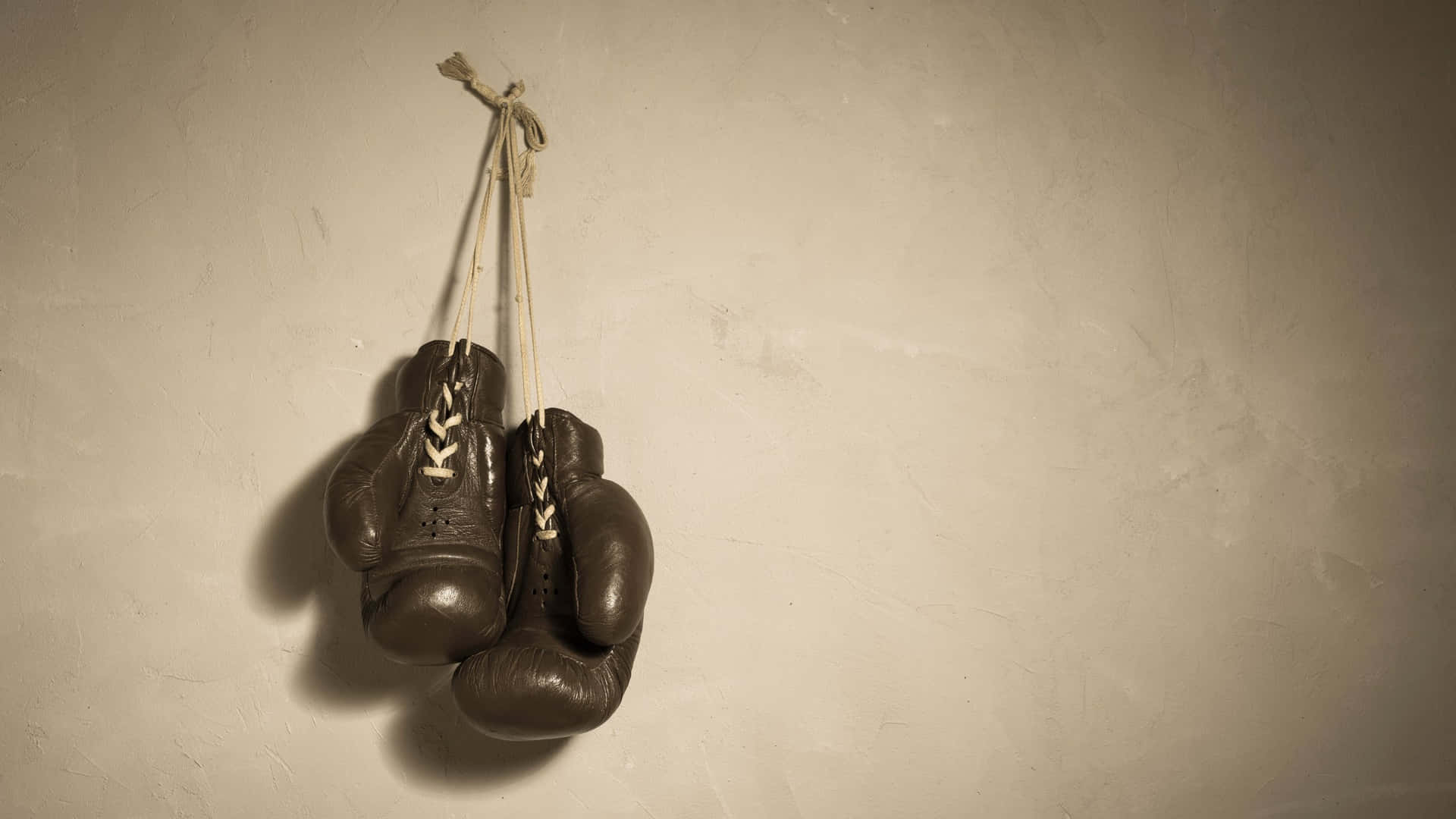 Vintage Boxing Gloves Hanging Wall Background