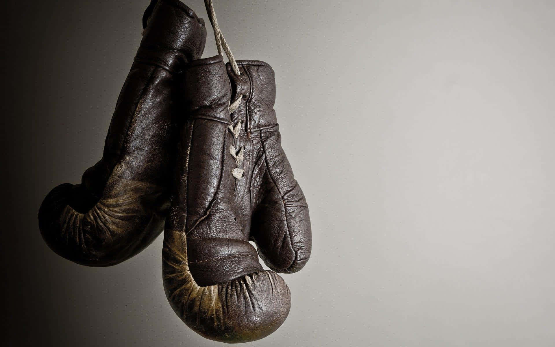 Vintage Boxing Gloves Hanging Background