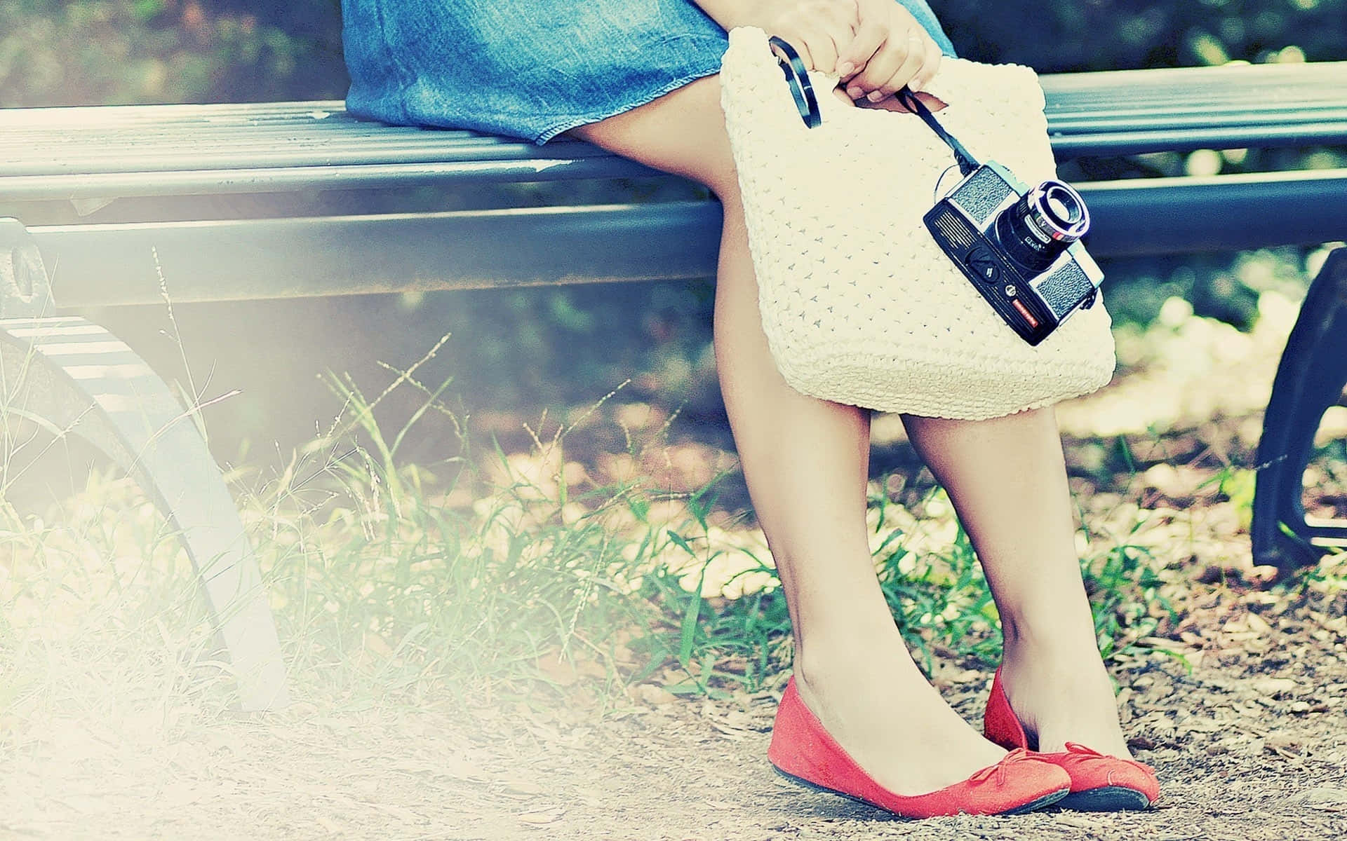 Vintage Cameraand Red Shoes Park Bench Background