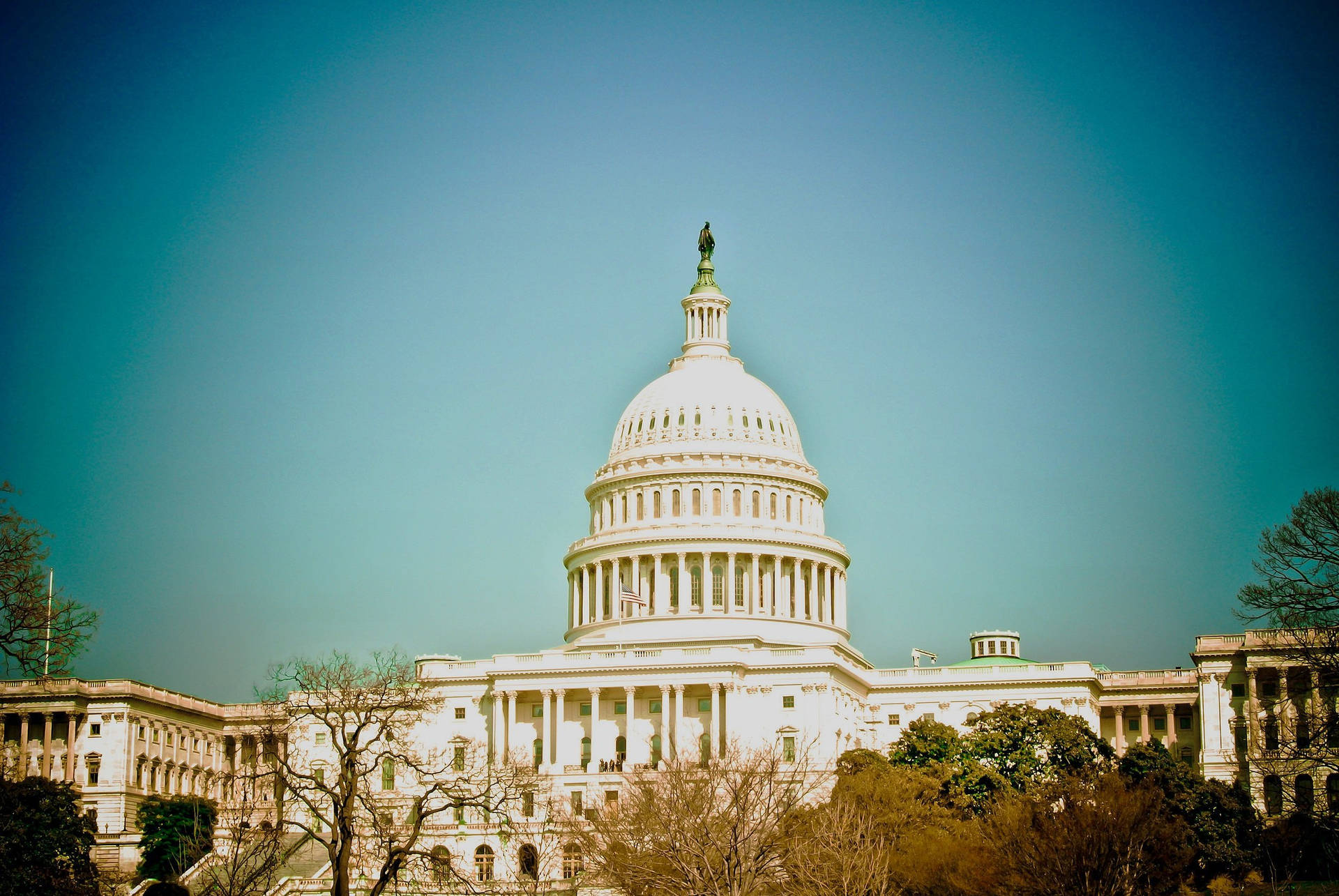 Vintage Capitol Hill Photo Background