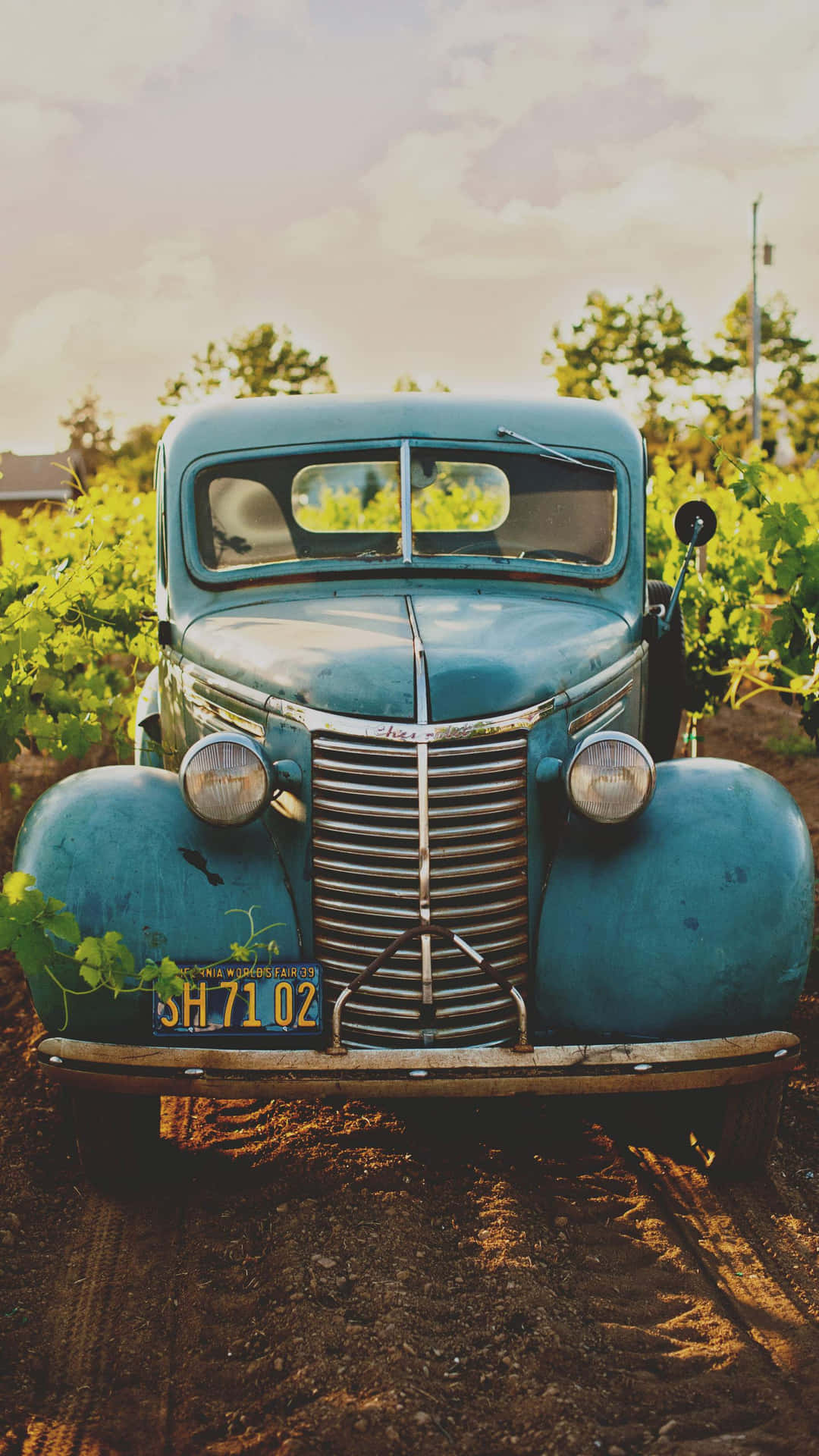 Vintage Car In Field Iphone Background