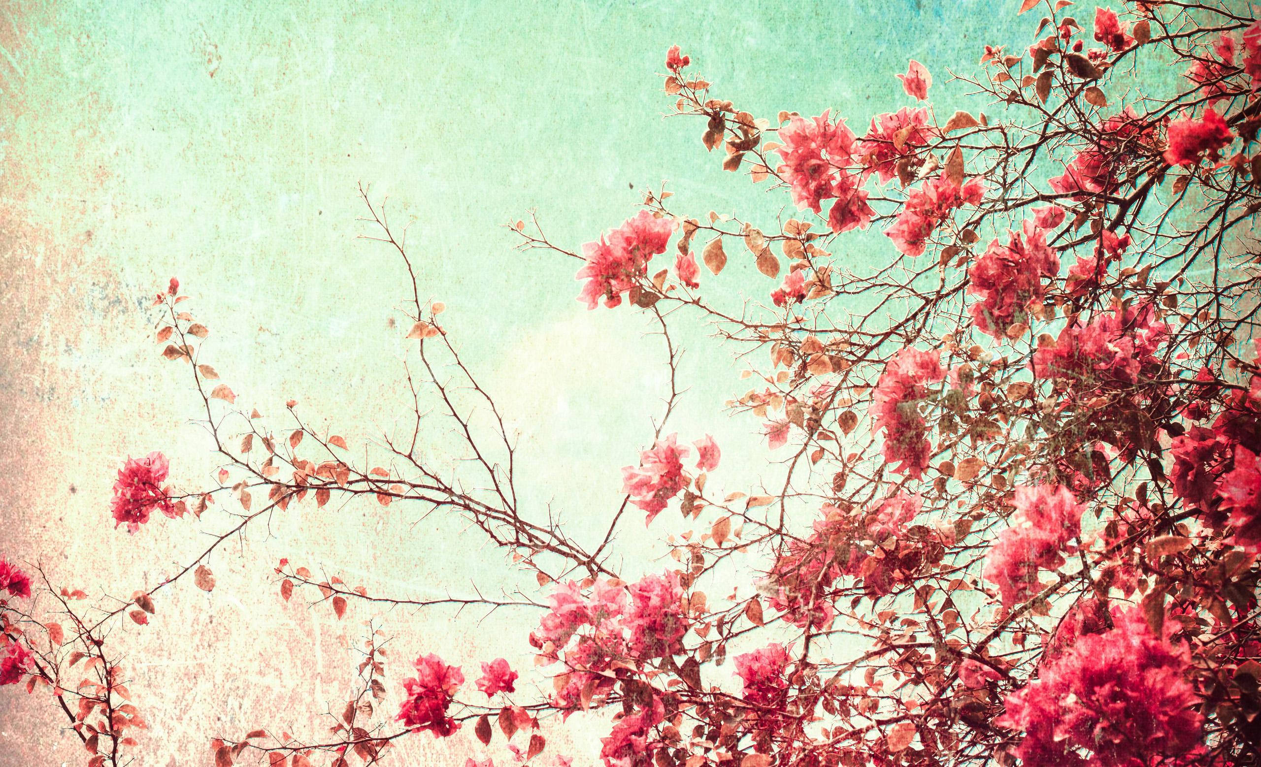 Vintage Cherry Blossom Floral Desktop Background