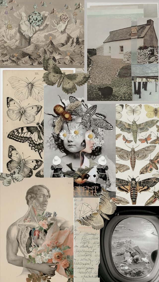 Vintage Collage Butterfly Art Background