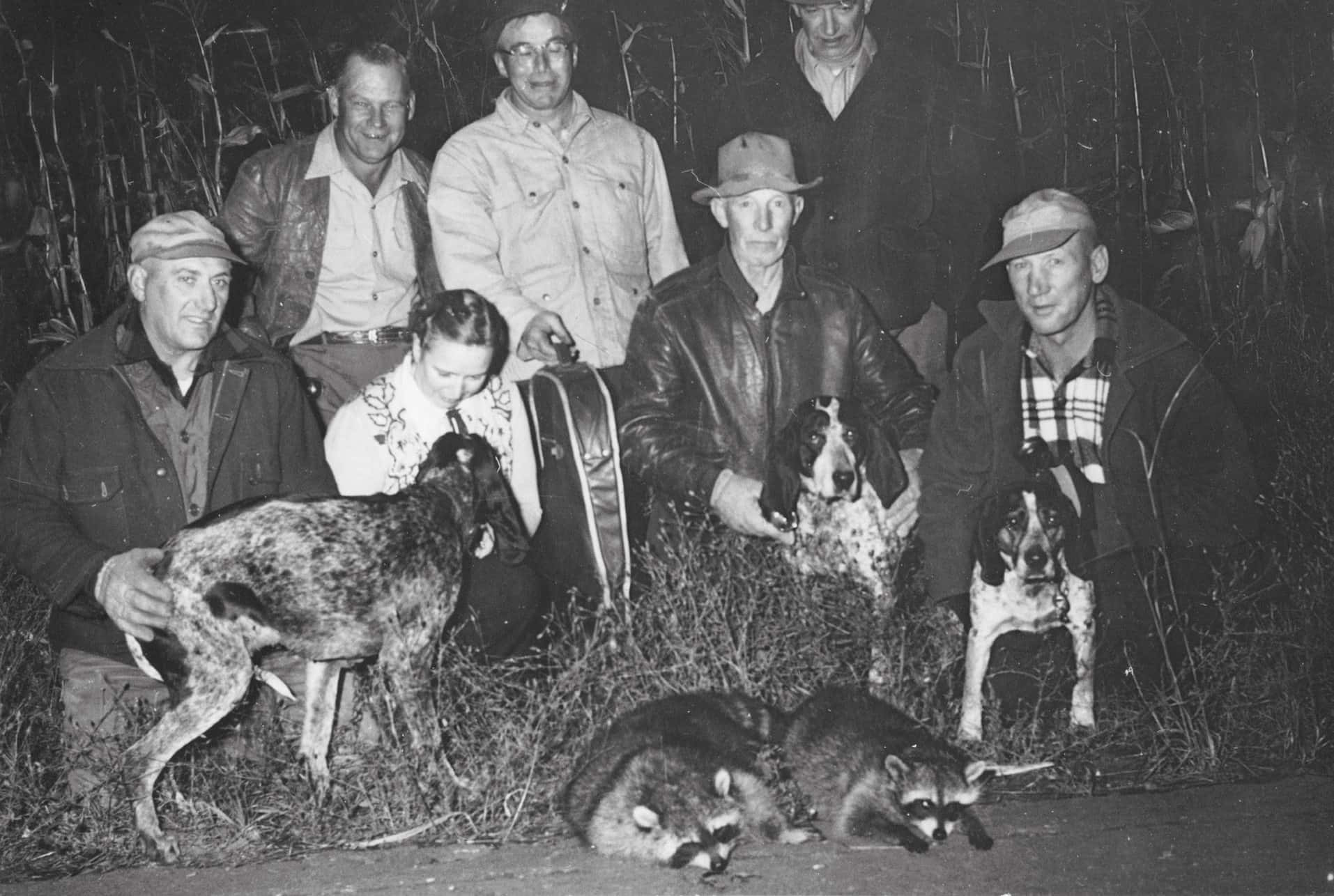 Vintage Coon Hunting Group With Dogsand Trophies Background