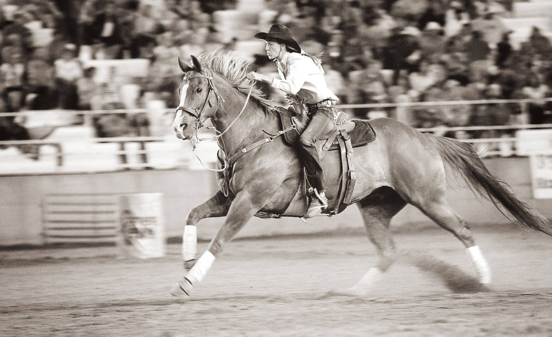 Vintage Cowgirl Quarter Horse Barrel Racing Event Background